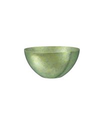 Titanium Bowl Lime Green S