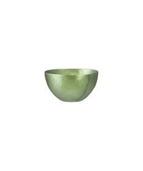 Titanium Bowl Lime Green SS